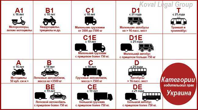 Дорожный тест dmv. как подготовиться и как пройти