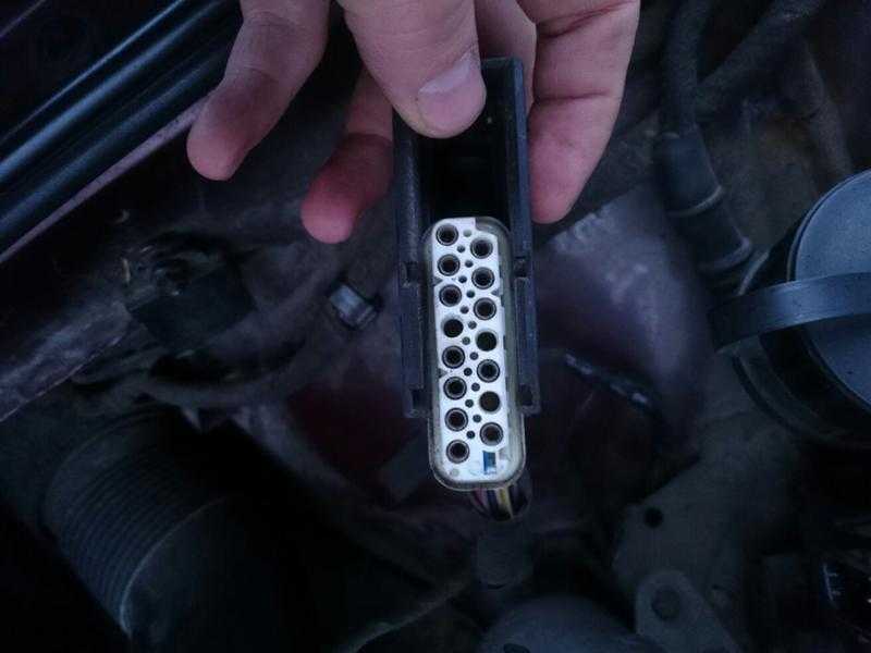 распиновка блока lcm bmw e39