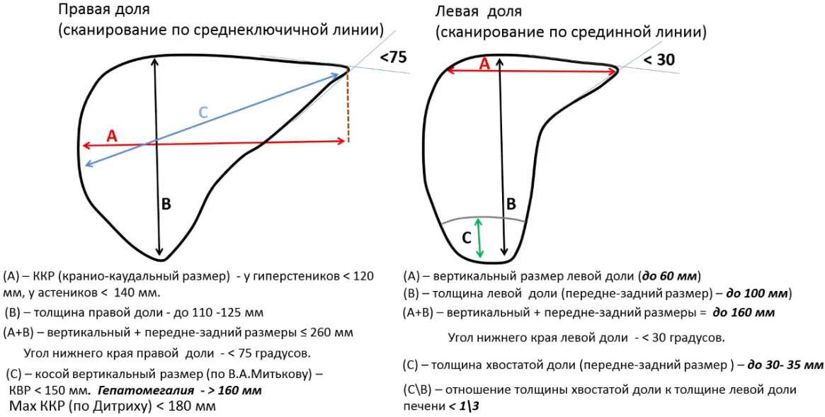 Не горят противотуманные фары нива шевроле