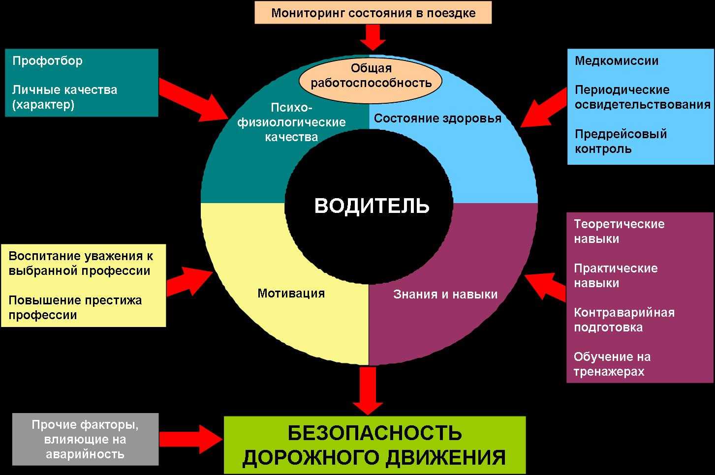 Надежность водителя и безопасность движения. реферат. психология. 2013-11-20