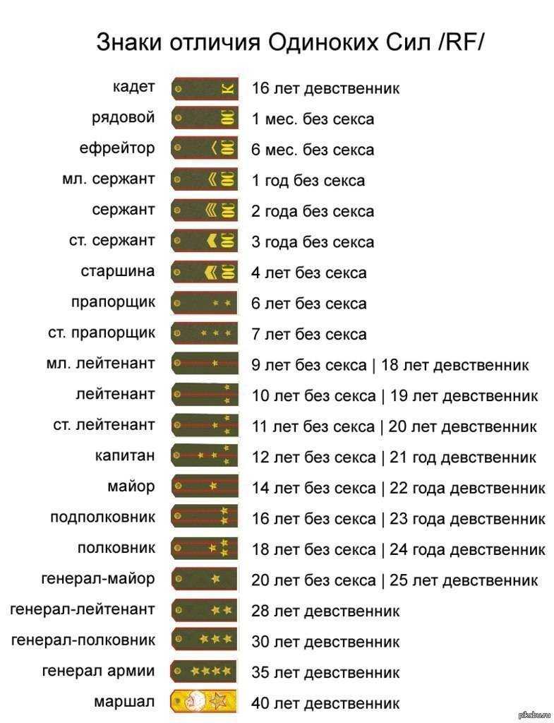 Обязанности личного состава - боевой устав сухопутных войск часть 3 - министерство обороны российской федерации