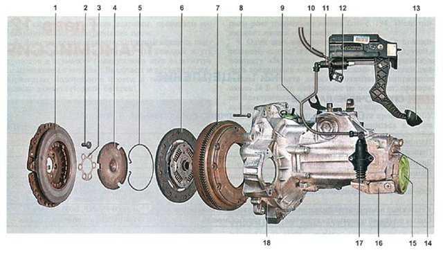 Подробное руководство по замене диска сцепления на автомобиле skoda octavia