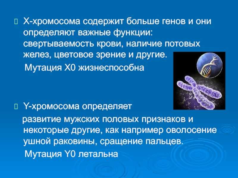 Список организмов по числу хромосом. число хромосом у разных видов