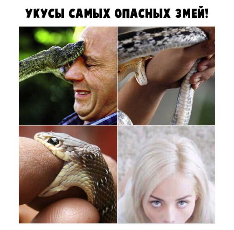 А. н. островский. гроза. текст произведения. действие четвертое
