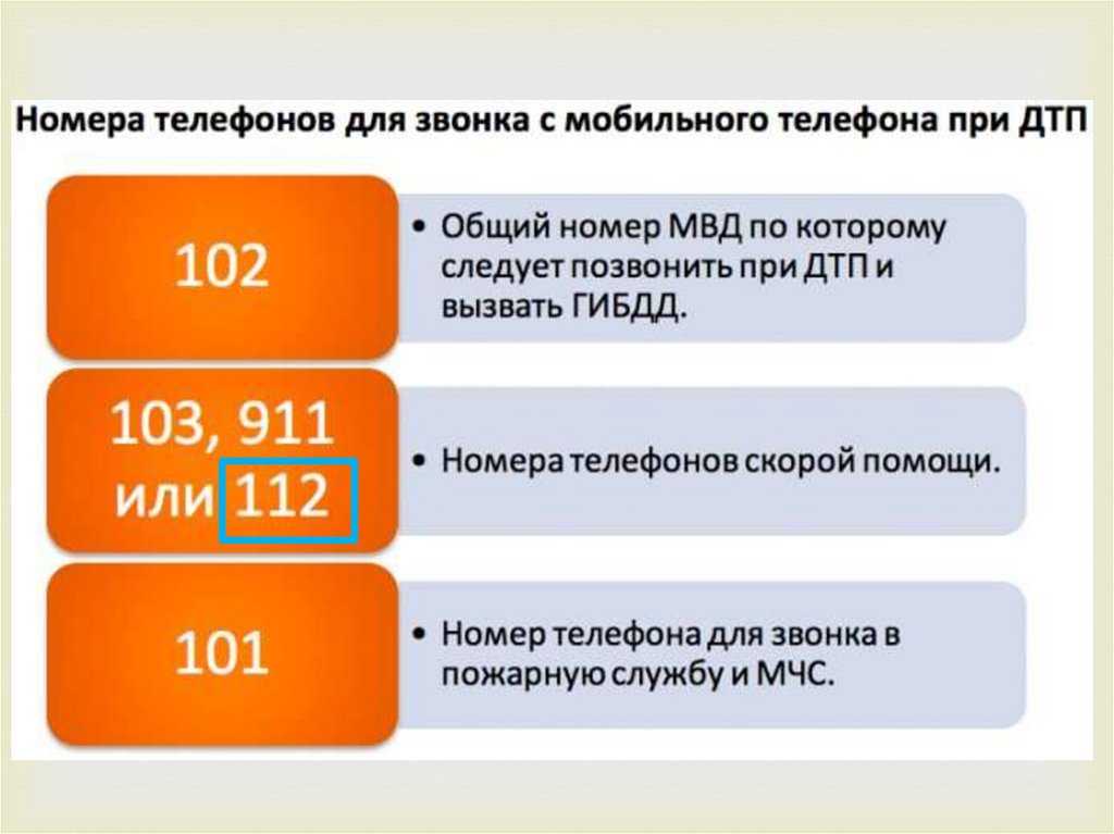 Как вызвать с мобильного гибдд? единый номер, мтс, мегафон, билайн