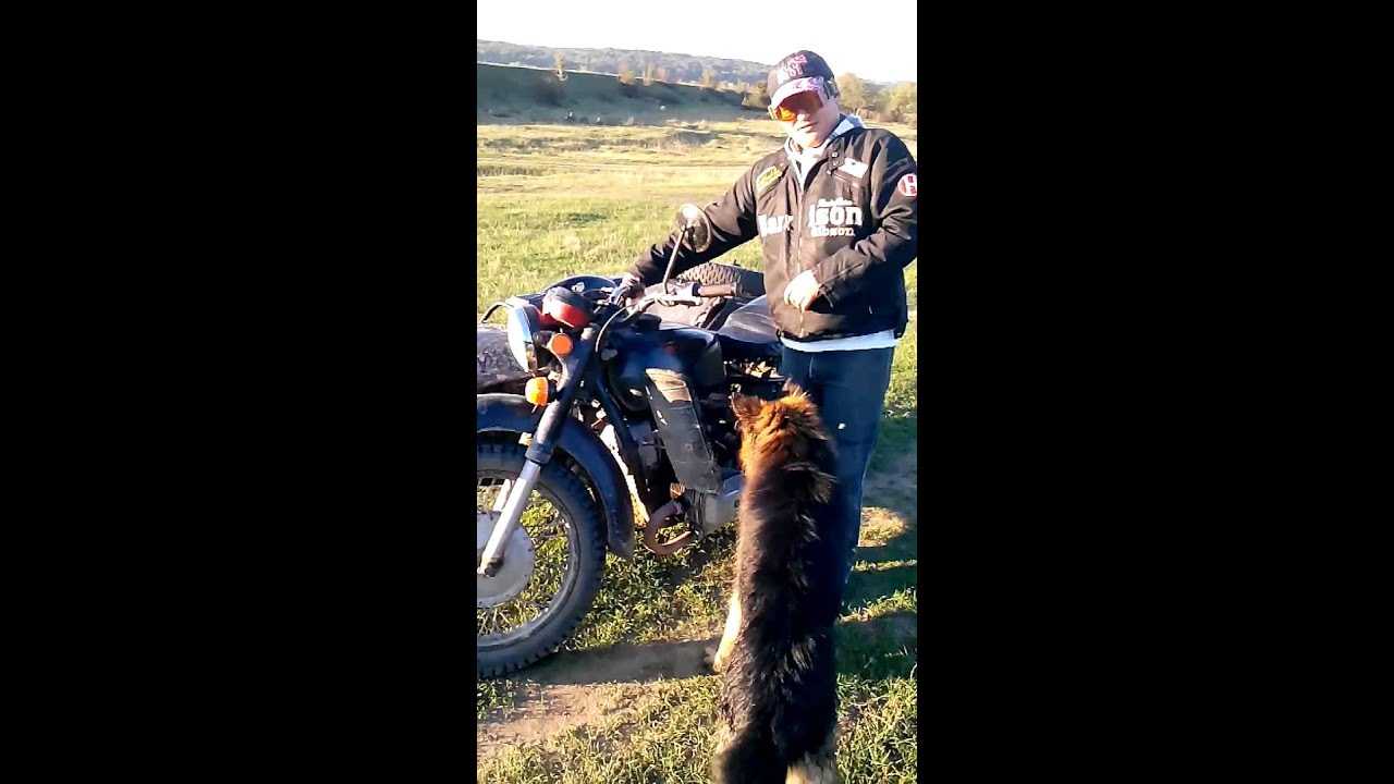 Как завести иж юпитер 4