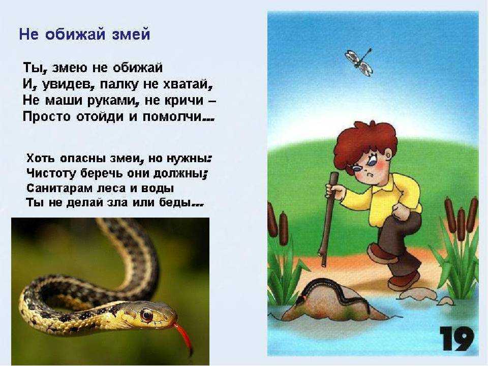 «волга-волга». афоризмы и крылатые фразы кино. александр юрьевич кожевников.