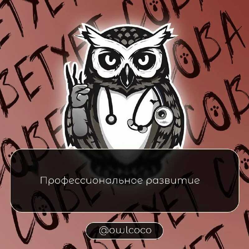 Расшифровка обозначений на кнопках и разъемах магнитол