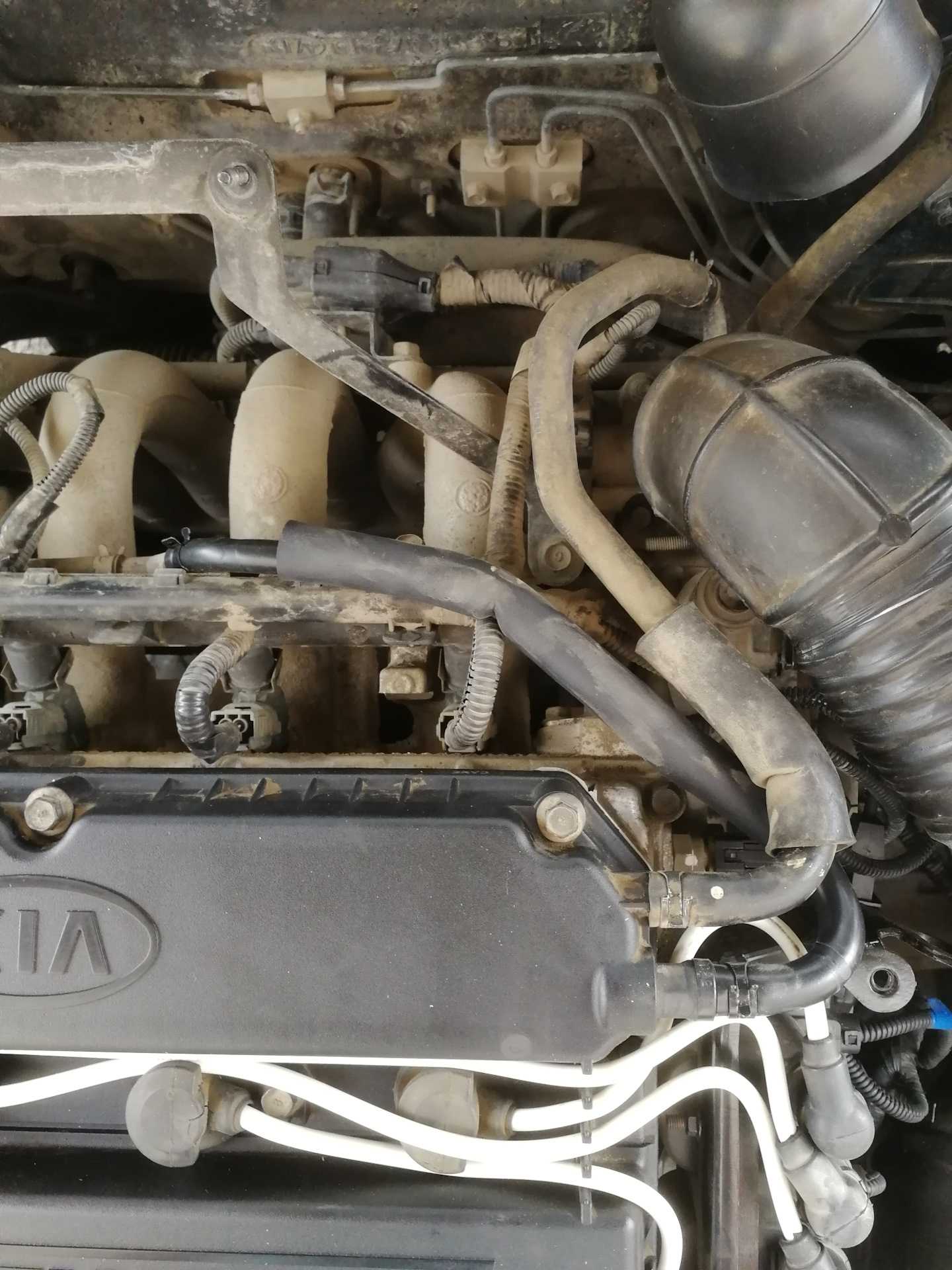 Kia sportage с 2004 года - система вентиляции картерных газов pcv