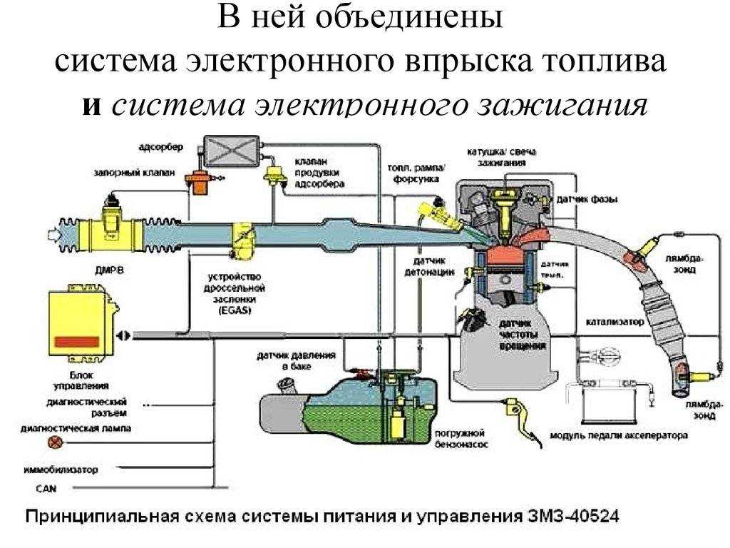 Как снять блок управления двигателем ипсум + видео обзор