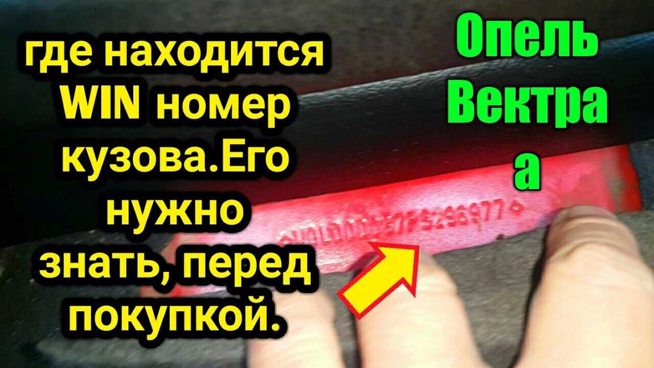 Вин код опель вектра б где находится: идентификационные номера, таблички и vin номер опель вектра / opel vectra – 403 — доступ запрещён —  vpm — автозапчасти для иномарок