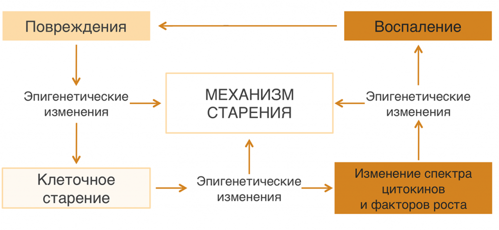 Типовые параметры диагностики лада калина